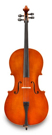 LIKE NEW Samuel Eastman VC80 4/4 Cello – Eastman Instruments