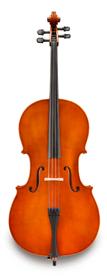 Fiumebianca M-80 1/4 　弓　SAMUEL EASTMAN 4a5fbf6c-761a-4fd5-83d8-