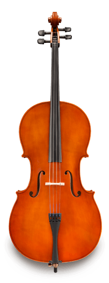 LIKE NEW Samuel Eastman VC80 4/4 Cello