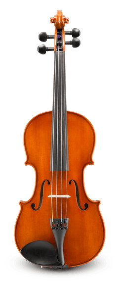Fiumebianca M-80 1/4 弓 SAMUEL EASTMAN Fiumebianca M-80 1/4 弓 SAMUEL EASTMAN Fiumebianca M-80 1/4